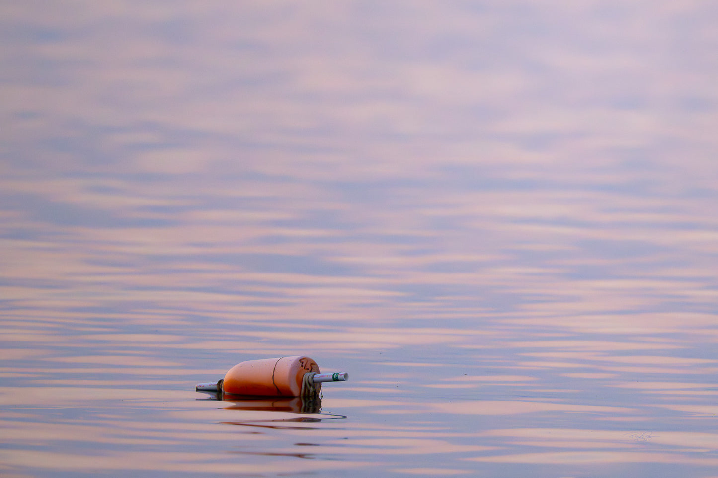 The Drifting Marker — A single orange and white crab pot buoy floating on calm, rippling water reflecting the pastel pink and purple hues of a twilight sky.