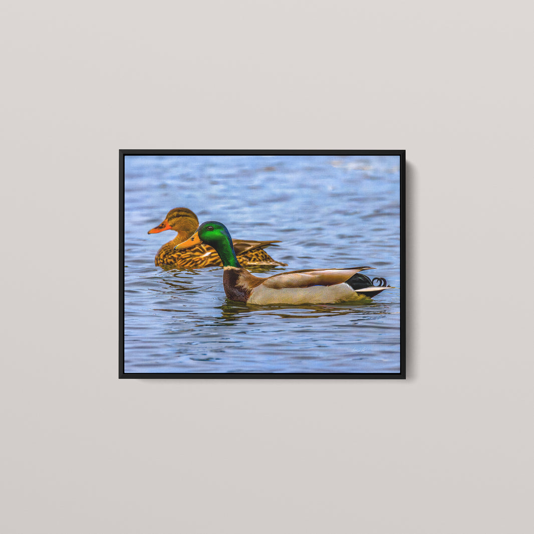 Pair on the Marsh (Open Edition) — Black framed canvas mockup