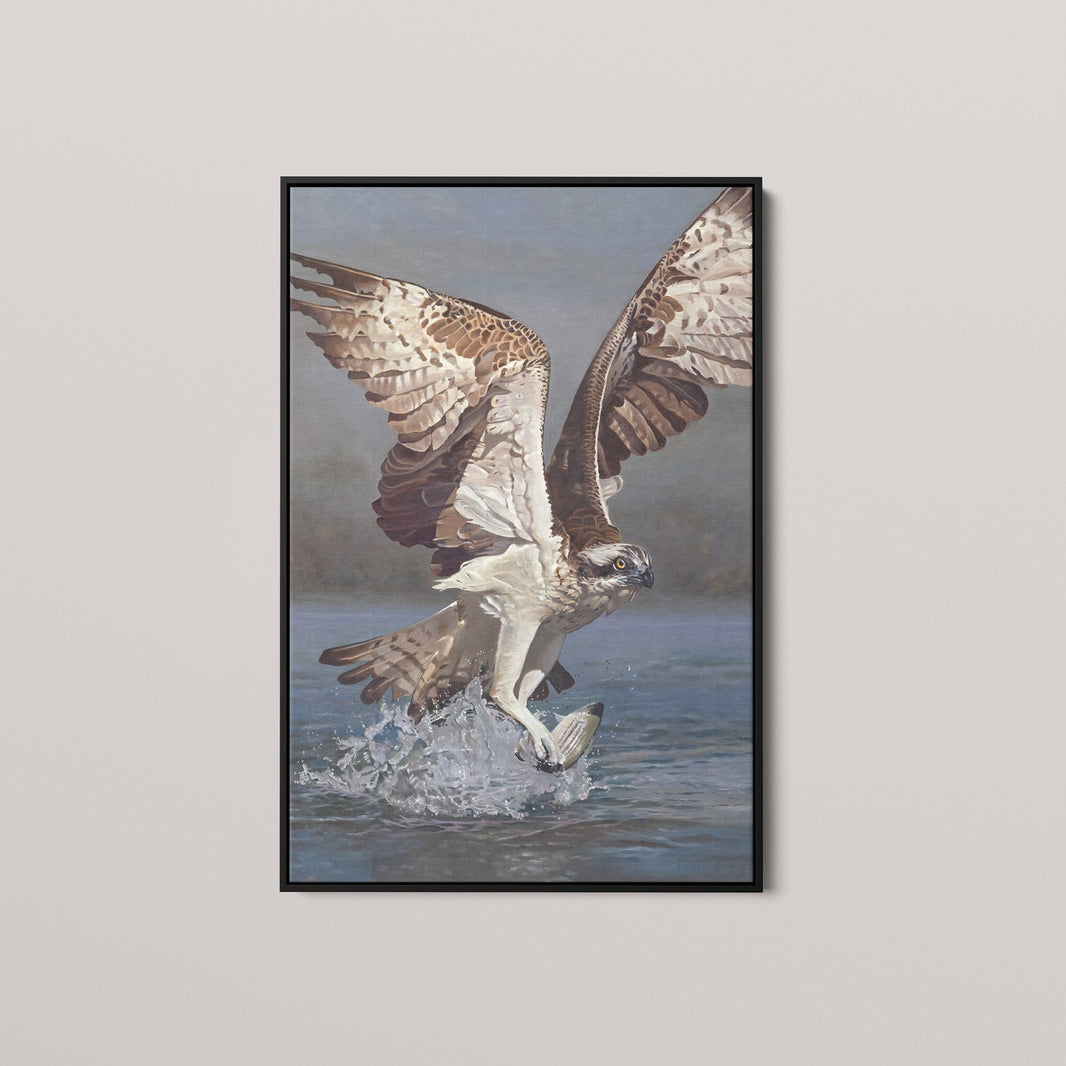 Osprey with Rockfish (1 of 50 Limited Edition)