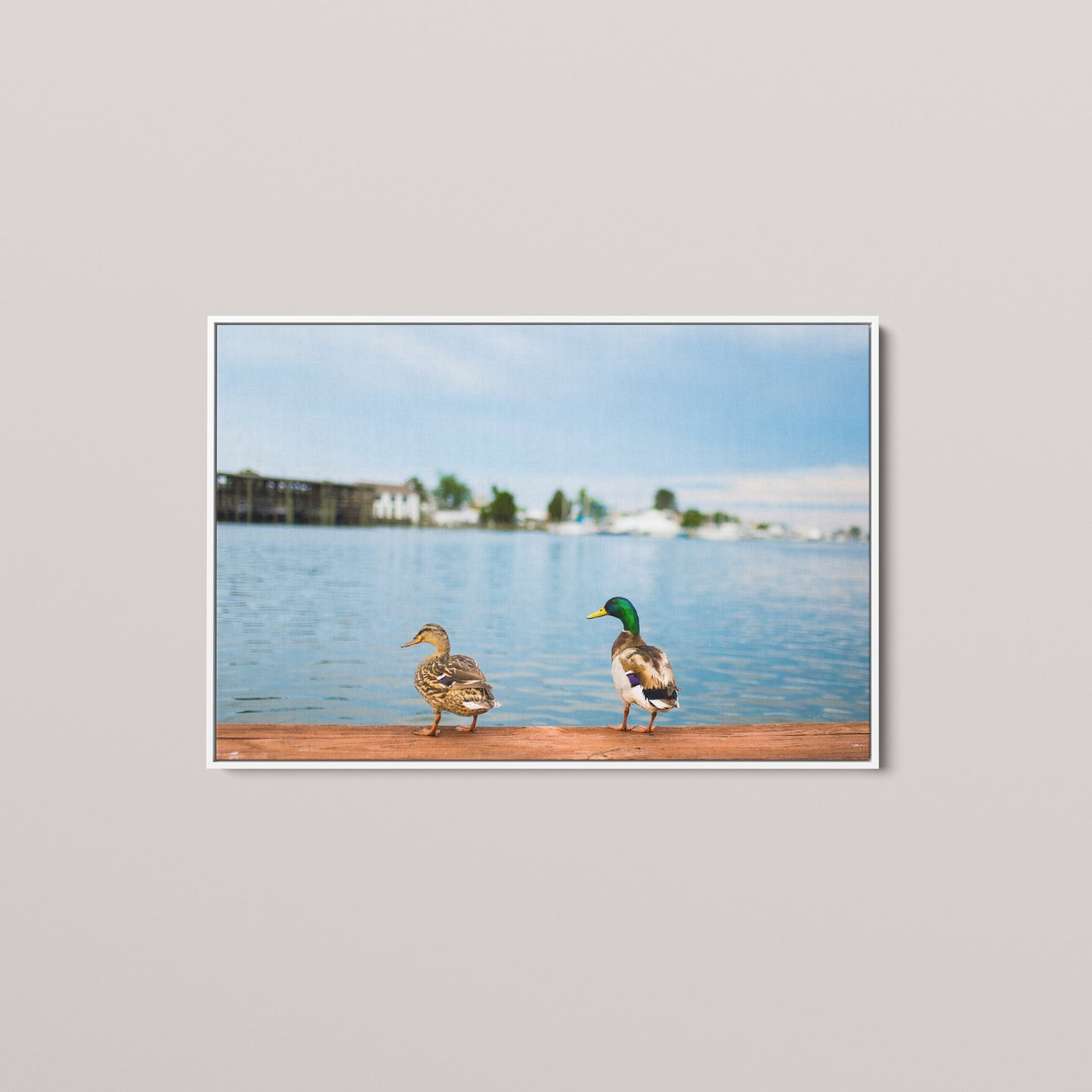 Harbor Companions (Open Edition)