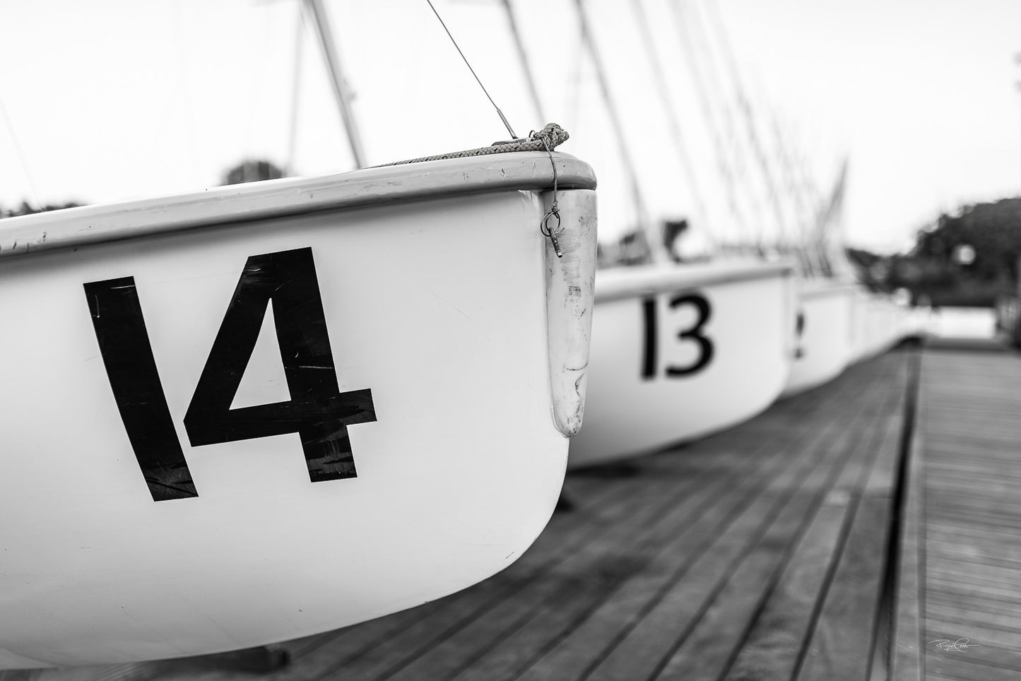 Numbered Rhythms — A close-up, black and white photograph of a row of sailboats at a dock in Annapolis, Maryland, focusing on the large numbers 14 and 13 on the hulls with a shallow depth of field.