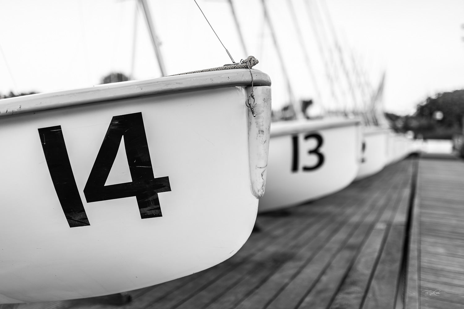 Numbered Rhythms — A close-up, black and white photograph of a row of sailboats at a dock in Annapolis, Maryland, focusing on the large numbers 14 and 13 on the hulls with a shallow depth of field.