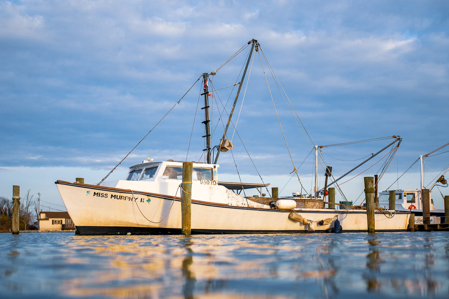 The Murphy's Rest — A white Chesapeake Bay workboat named Miss Murphy II docked at wooden pilings under a soft blue and gold sunset sky.