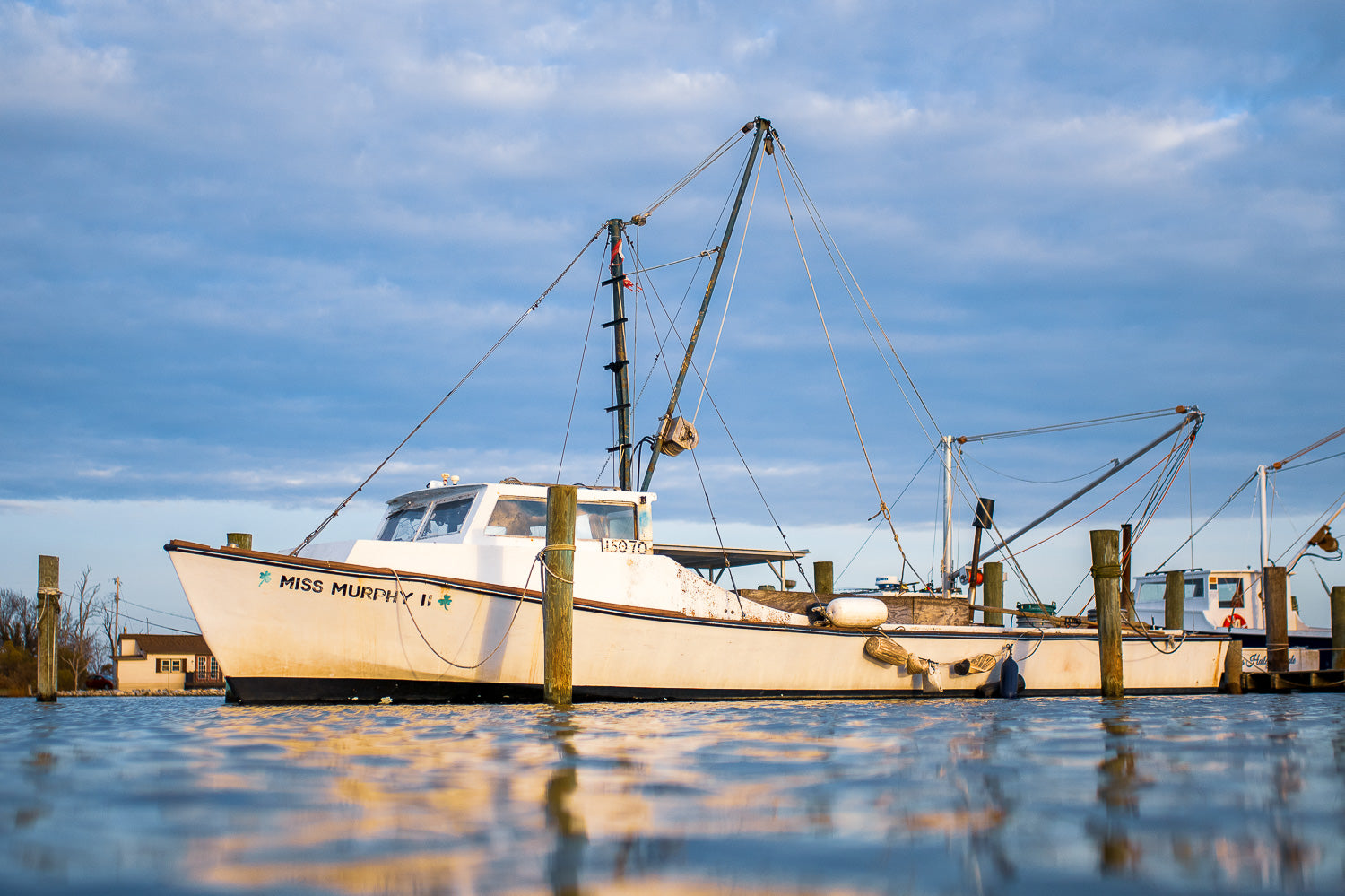 The Murphy's Rest — A white Chesapeake Bay workboat named Miss Murphy II docked at wooden pilings under a soft blue and gold sunset sky.