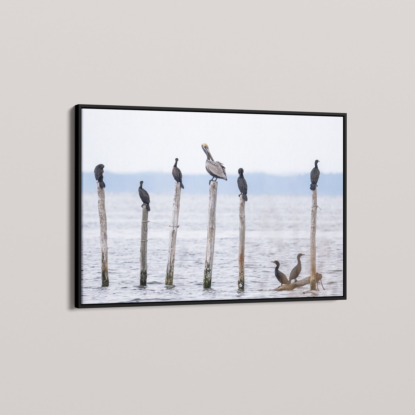 The Coastal Council (Open Edition)