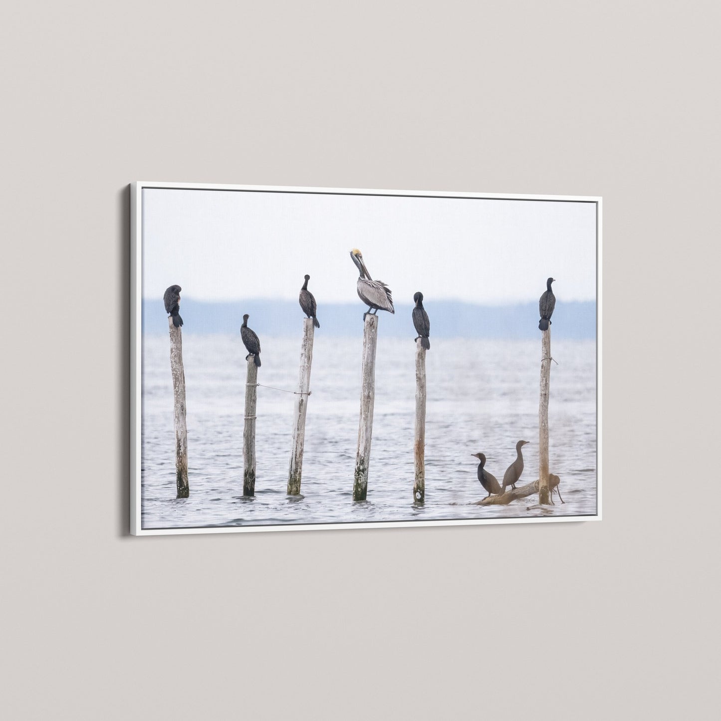 The Coastal Council (Open Edition)