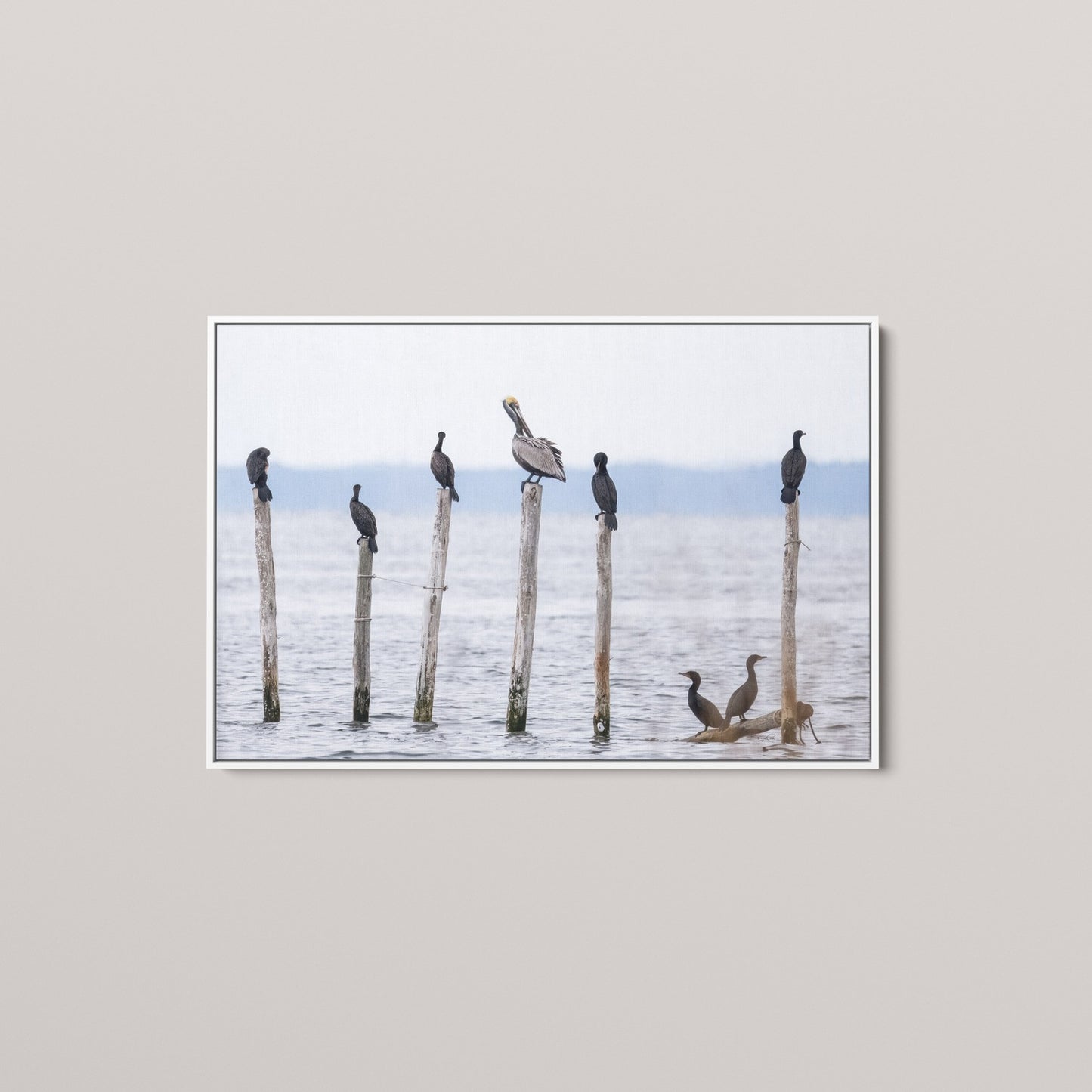 The Coastal Council (Open Edition)