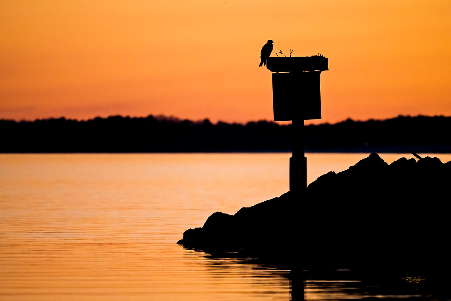 The Amber Watch — A sharp silhouette of an Osprey perched on a rectangular channel marker sign, backlit by a deep orange and black sunset over the water.