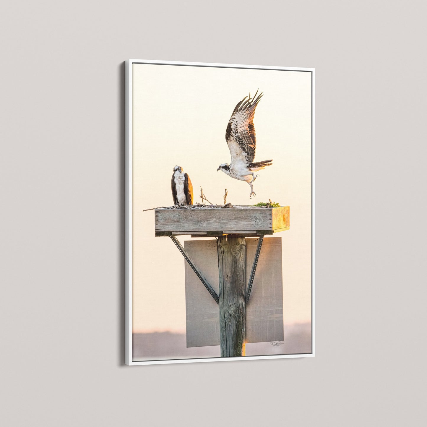 Golden Takeoff (Open Edition)