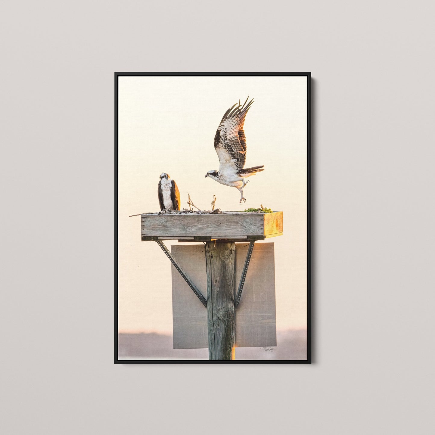 Golden Takeoff (Open Edition)