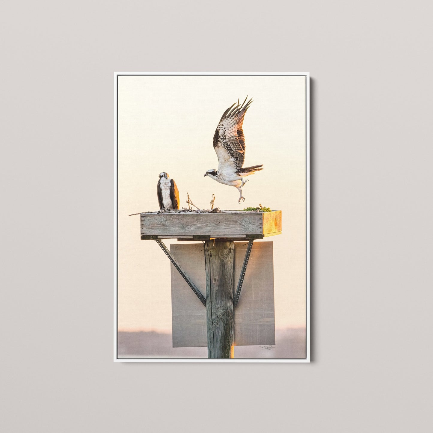 Golden Takeoff (Open Edition)
