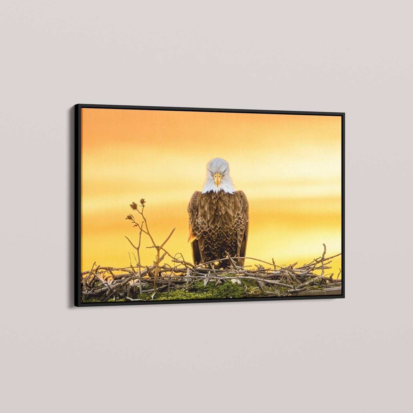 The Golden Benediction (1 of 50 Limited Edition)