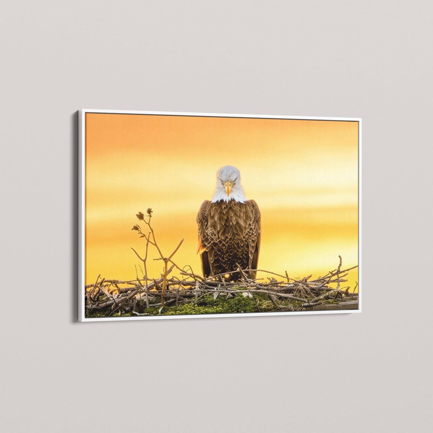 The Golden Benediction (1 of 50 Limited Edition)