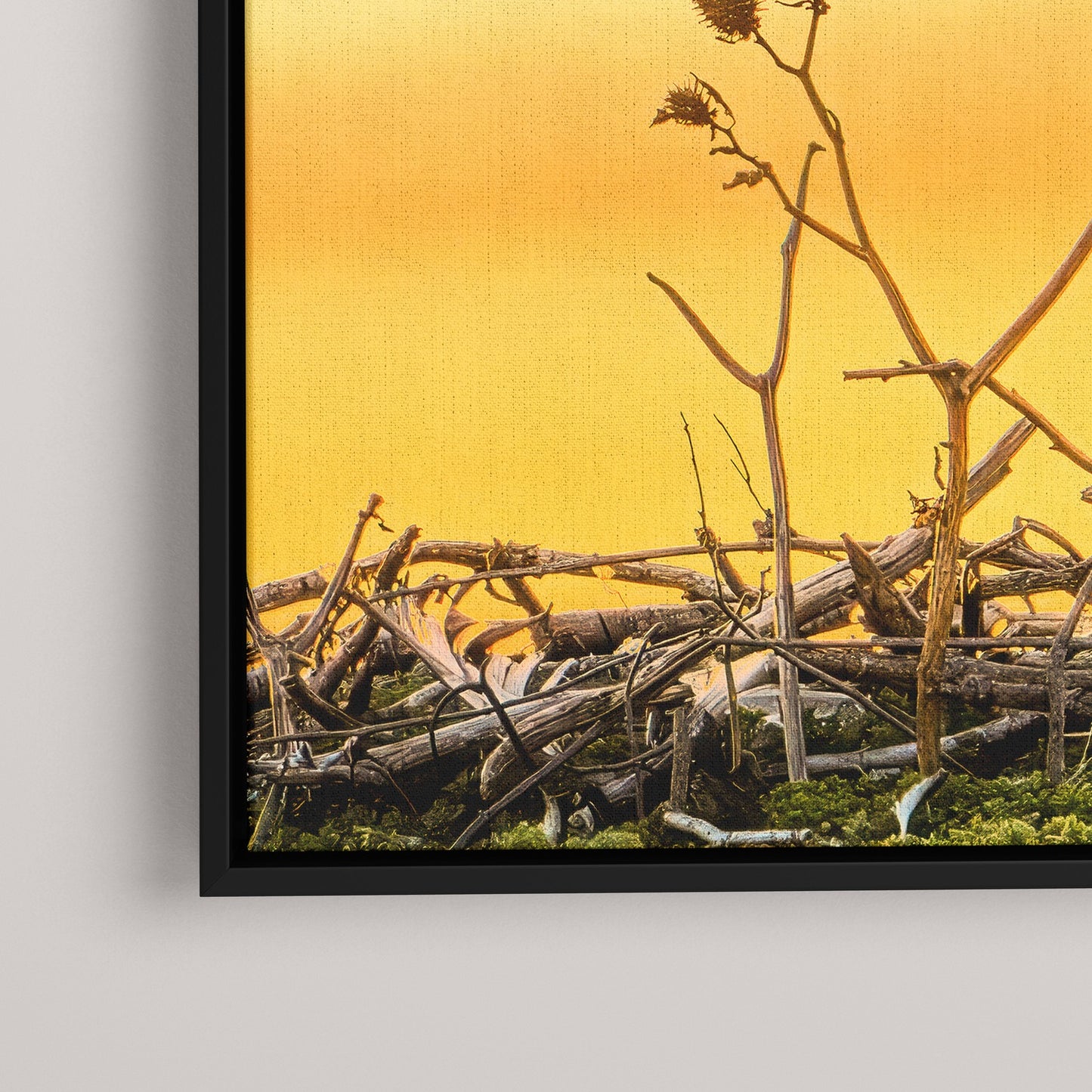 The Golden Benediction (1 of 50 Limited Edition)