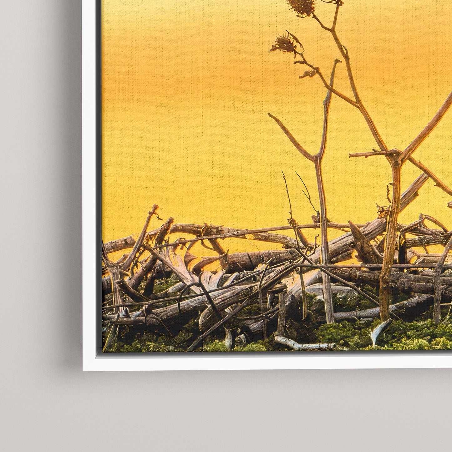 The Golden Benediction (1 of 50 Limited Edition)