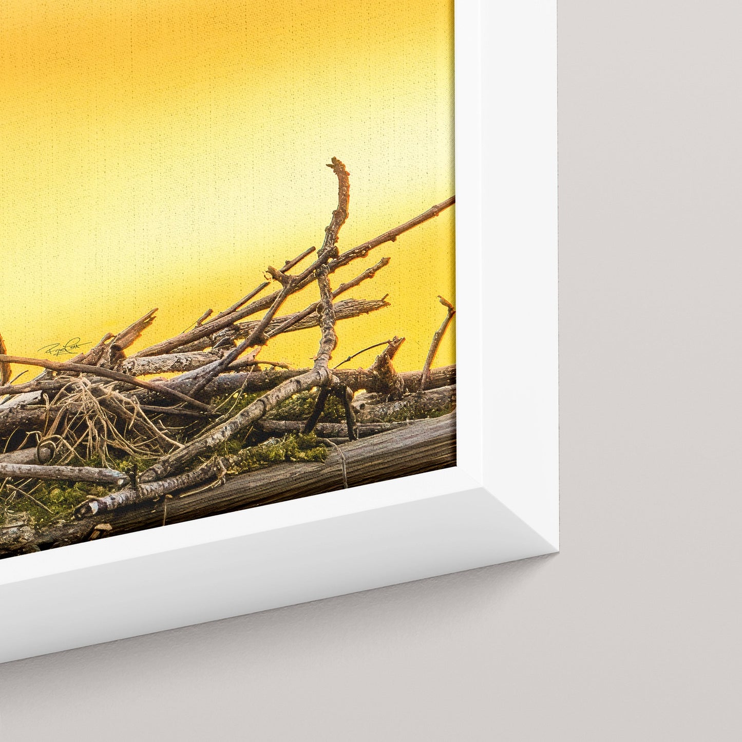 The Golden Benediction (1 of 50 Limited Edition)