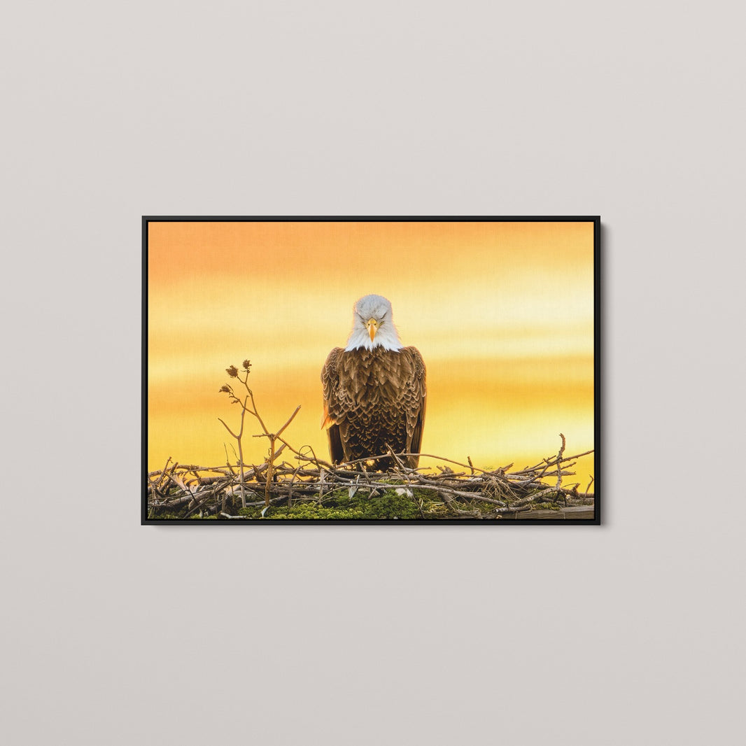 The Golden Benediction (1 of 50 Limited Edition)