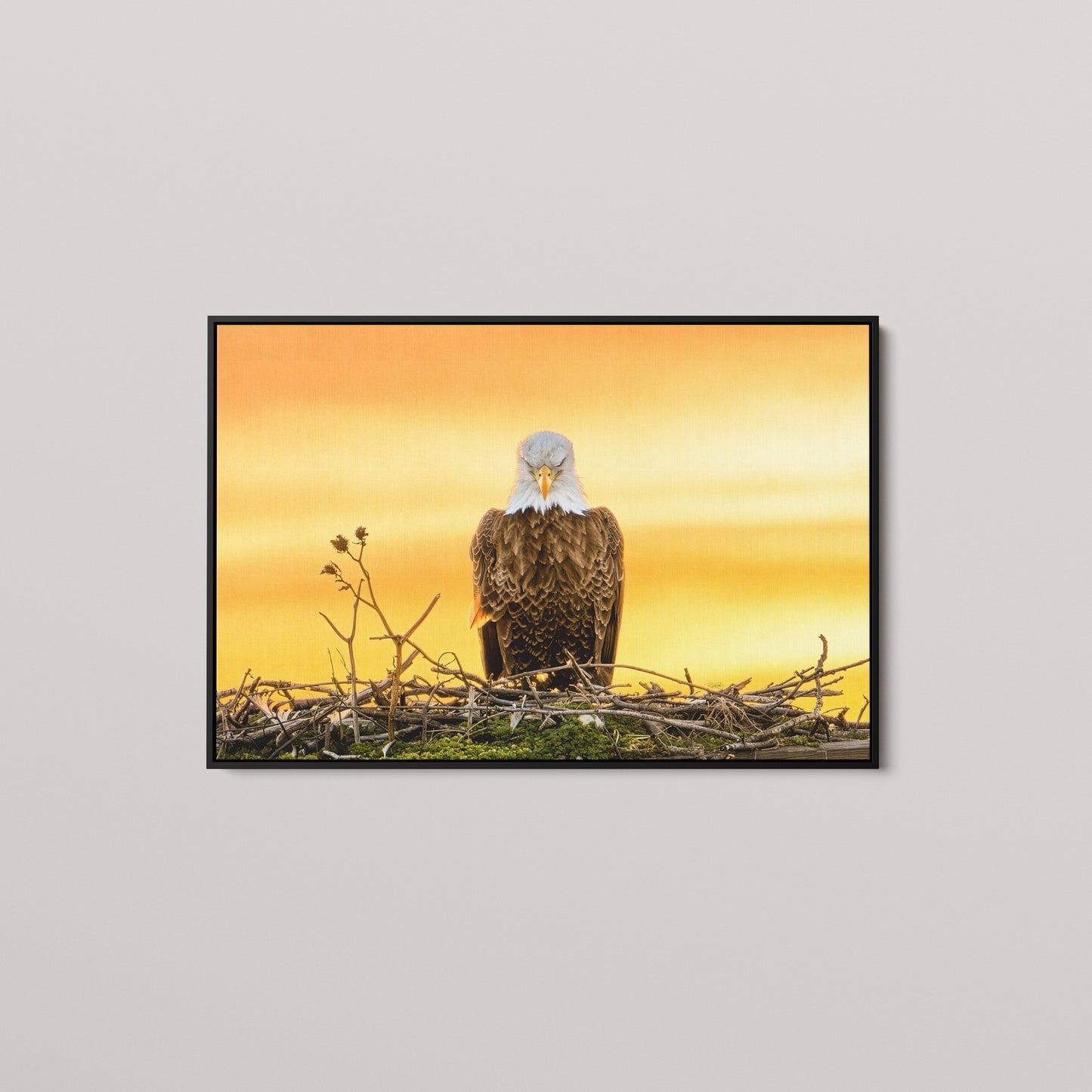 The Golden Benediction (1 of 50 Limited Edition)