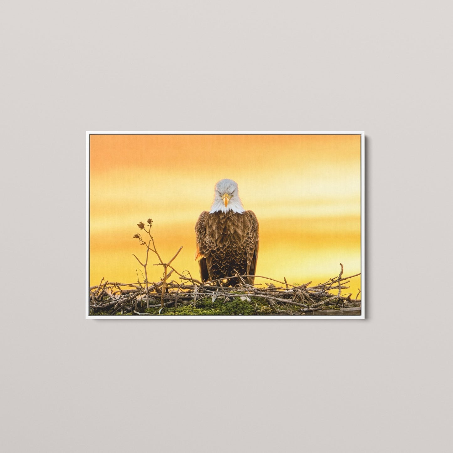 The Golden Benediction (1 of 50 Limited Edition)