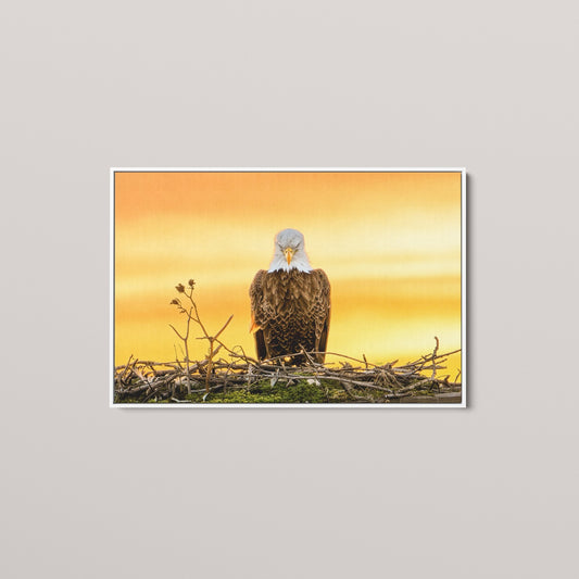 The Golden Benediction (1 of 50 Limited Edition)