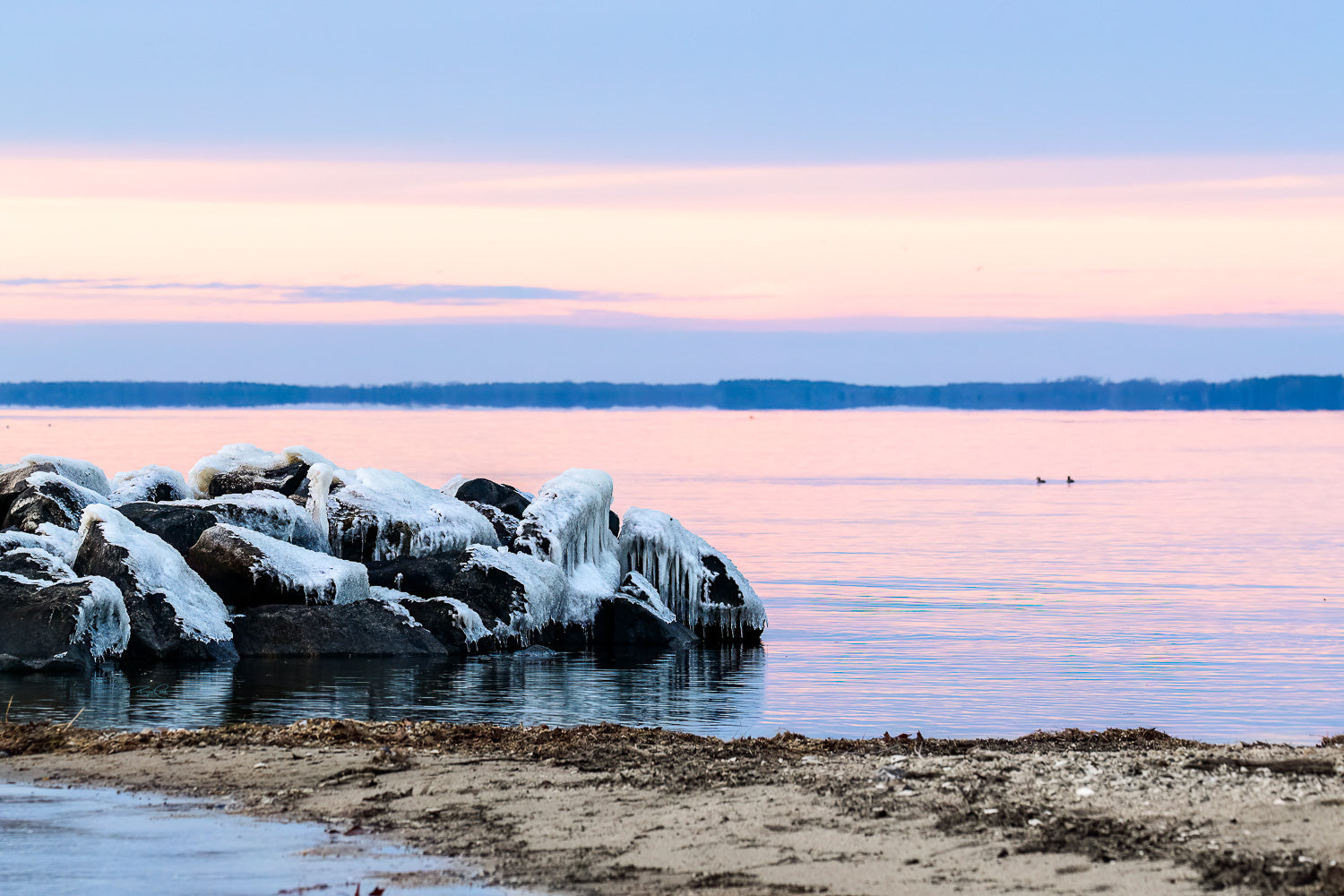 Frost on the Potomac — Large boulders of a shoreline jetty covered in thick white ice and icicles, set against a calm Chesapeake Bay under a pastel pink and blue twilight sky.