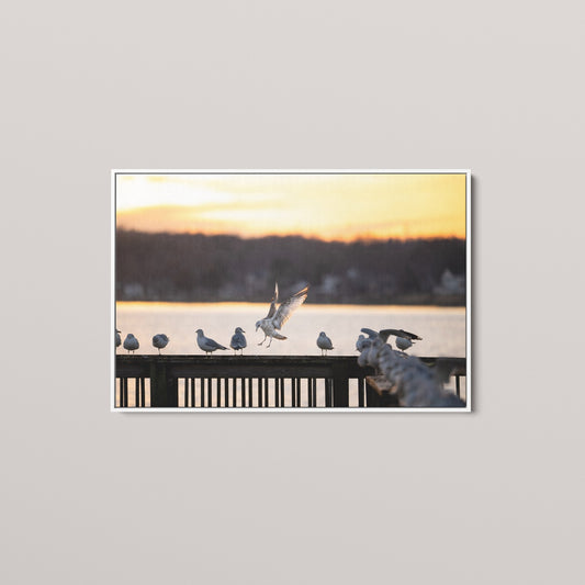 The Sunset Descent (Open Edition)