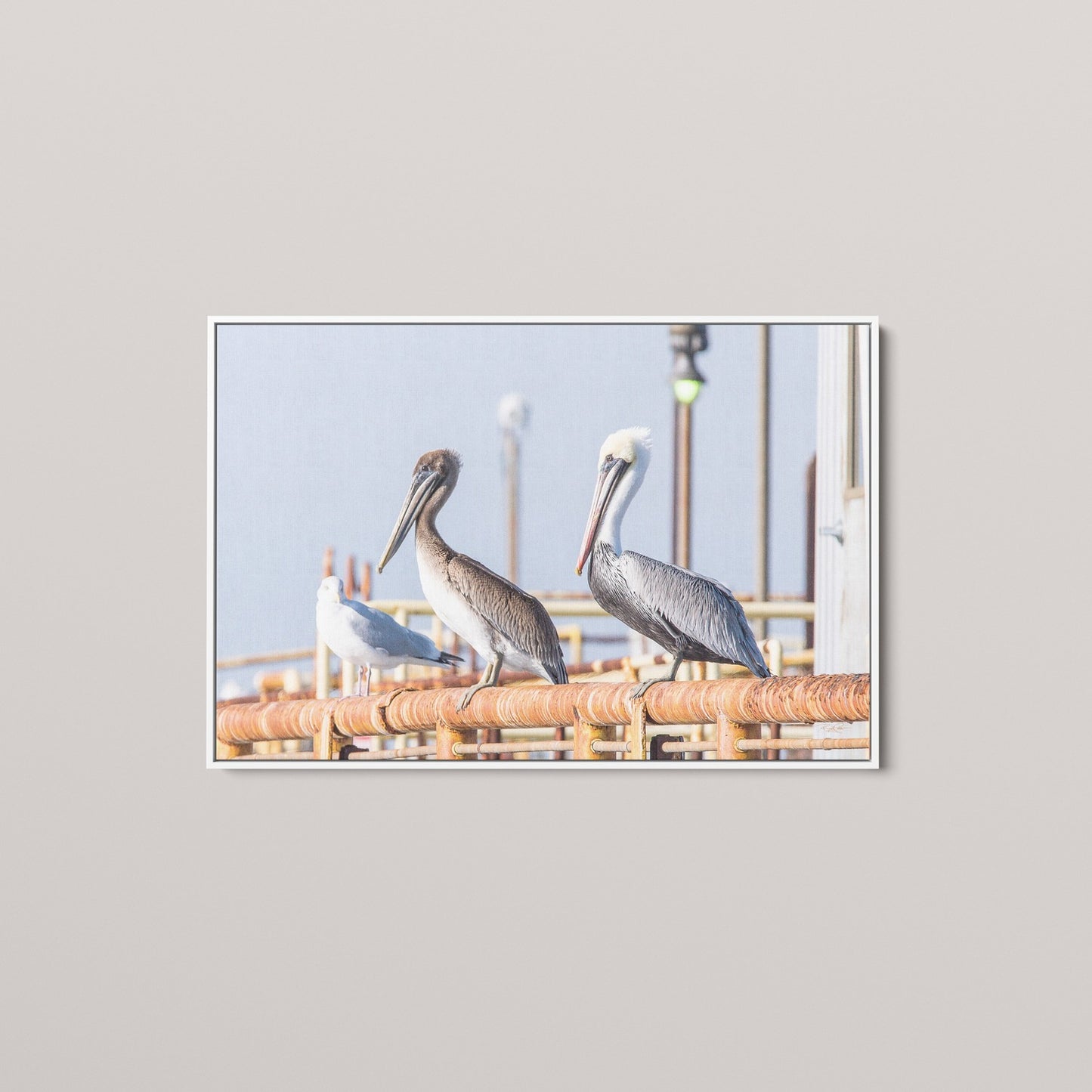 The Pier Council (Open Edition)