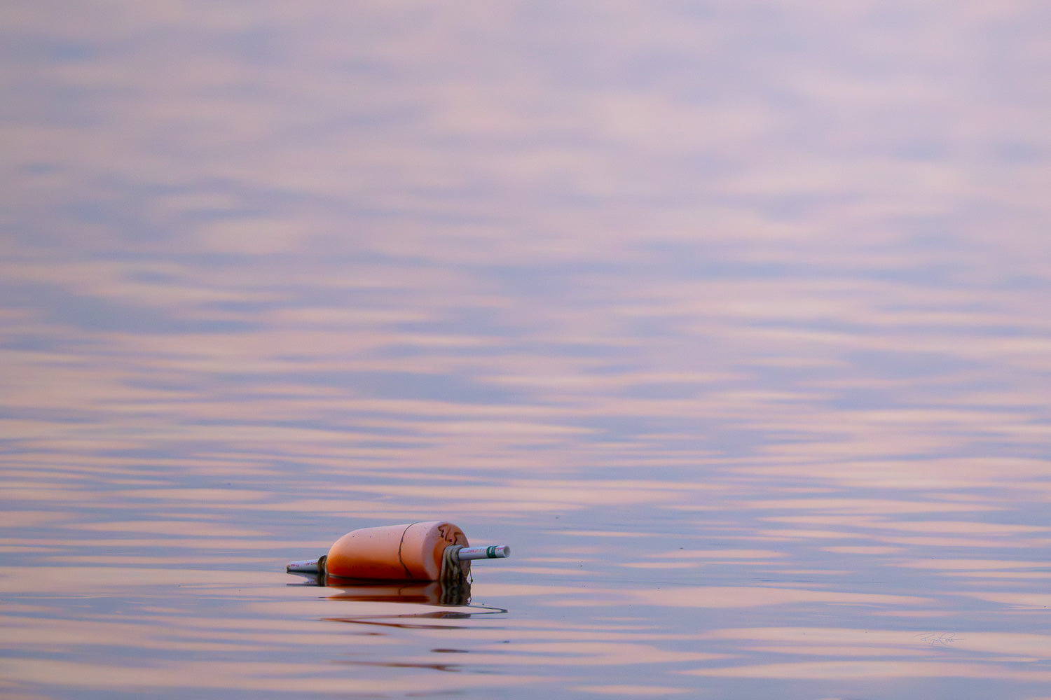 The Drifting Marker — A single orange and white crab pot buoy floating on calm, rippling water reflecting the pastel pink and purple hues of a twilight sky.