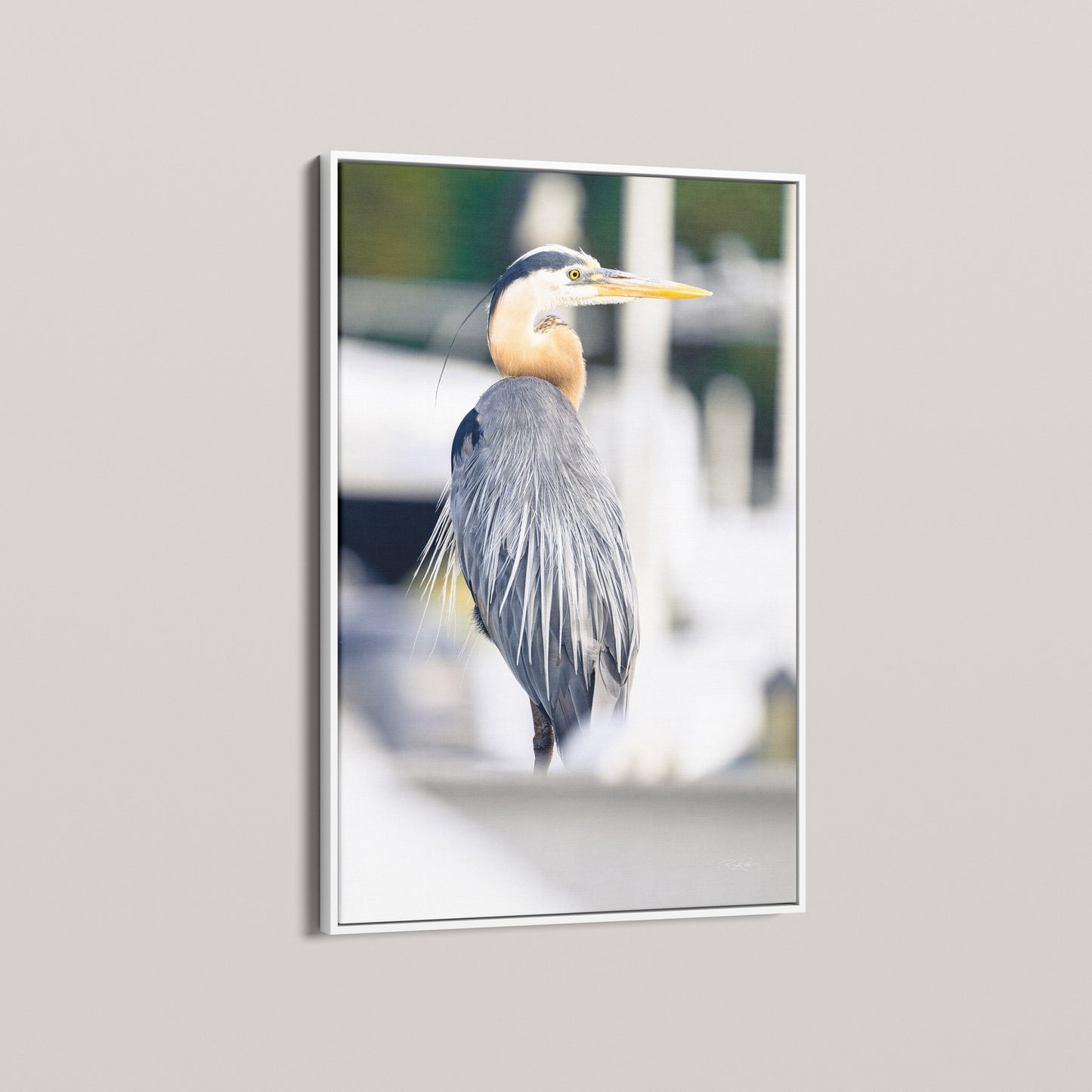 The Harbormaster (1 of 100 Limited Edition)