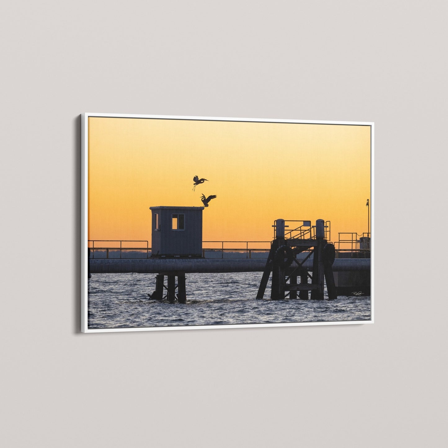 The Sunset Summit (Open Edition)