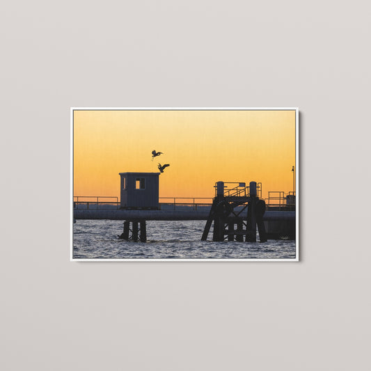 The Sunset Summit (Open Edition)