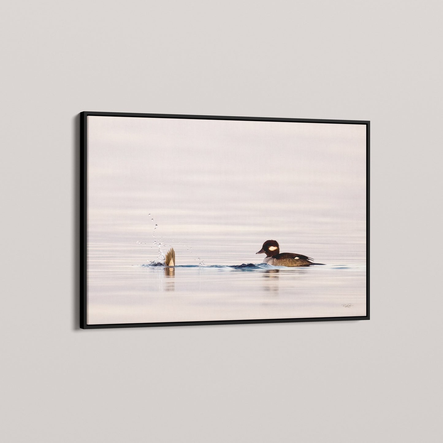 The Vanishing Act (1 of 50 Limited Edition)
