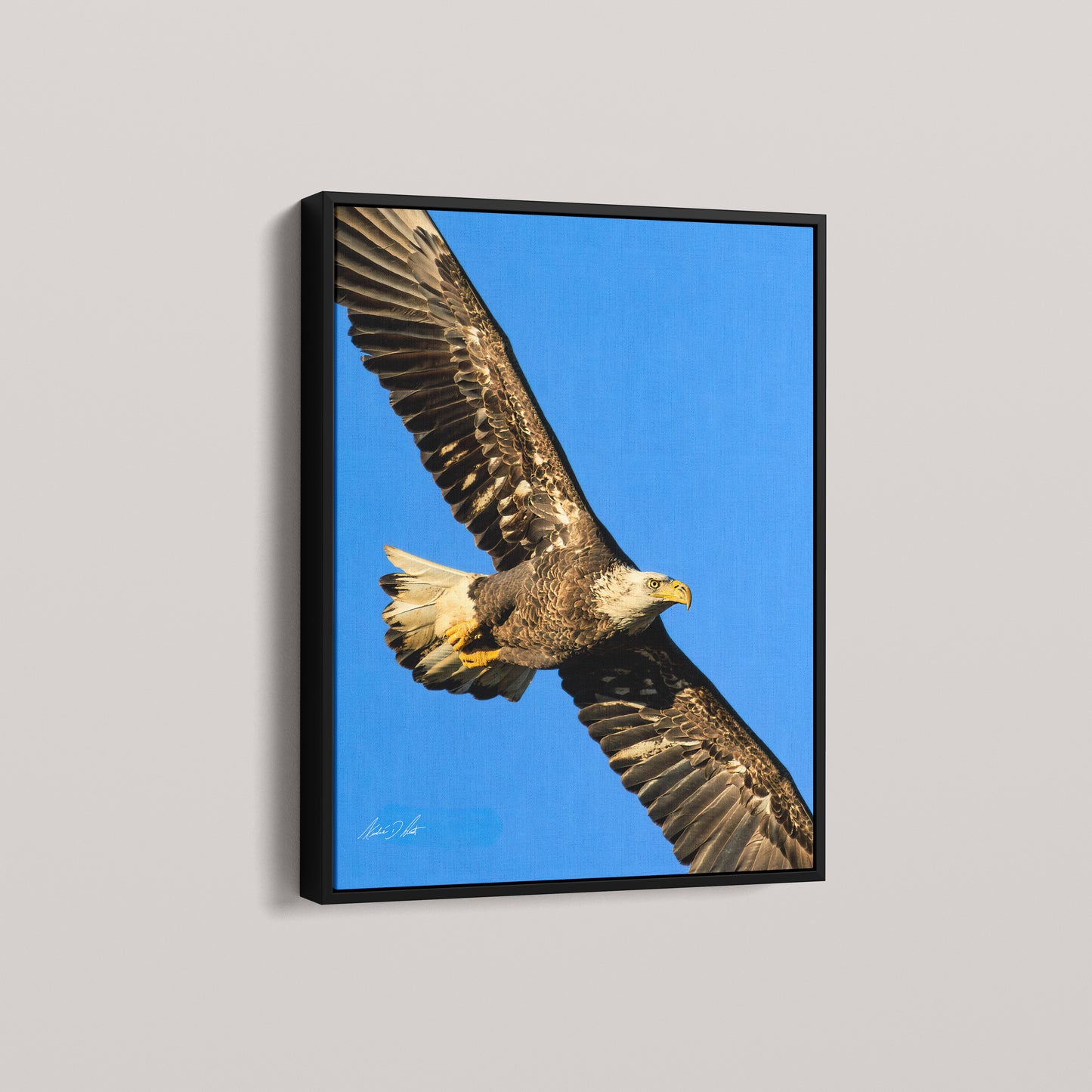 The Sovereign (1 of 50 Limited Edition) — Black framed canvas mockup