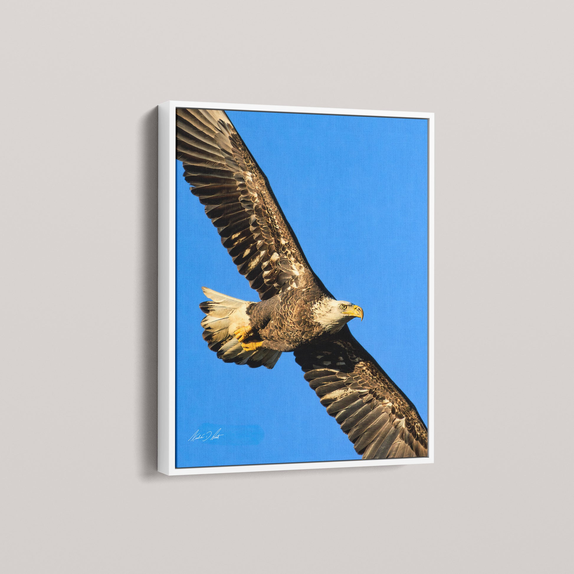 The Sovereign (1 of 50 Limited Edition) — White framed canvas mockup