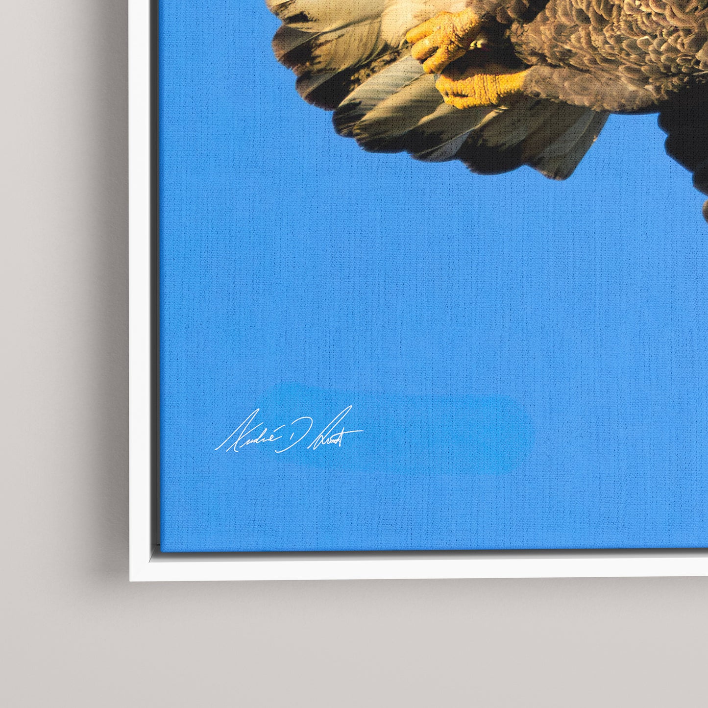 The Sovereign (1 of 50 Limited Edition) — Detail view