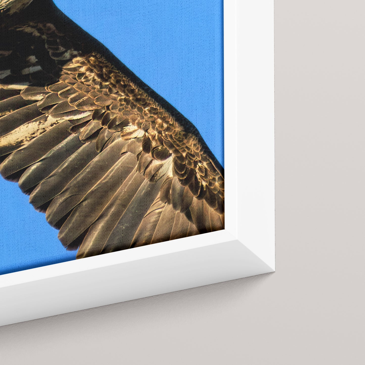 The Sovereign (1 of 50 Limited Edition) — Detail view