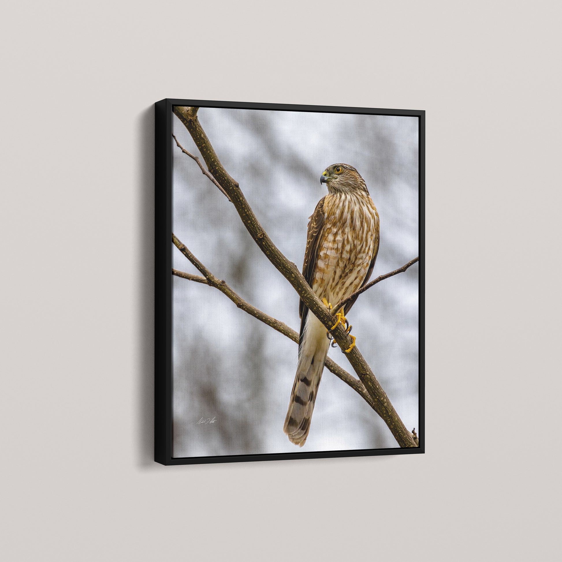 The Half-Second (Open Edition) — Black framed canvas mockup