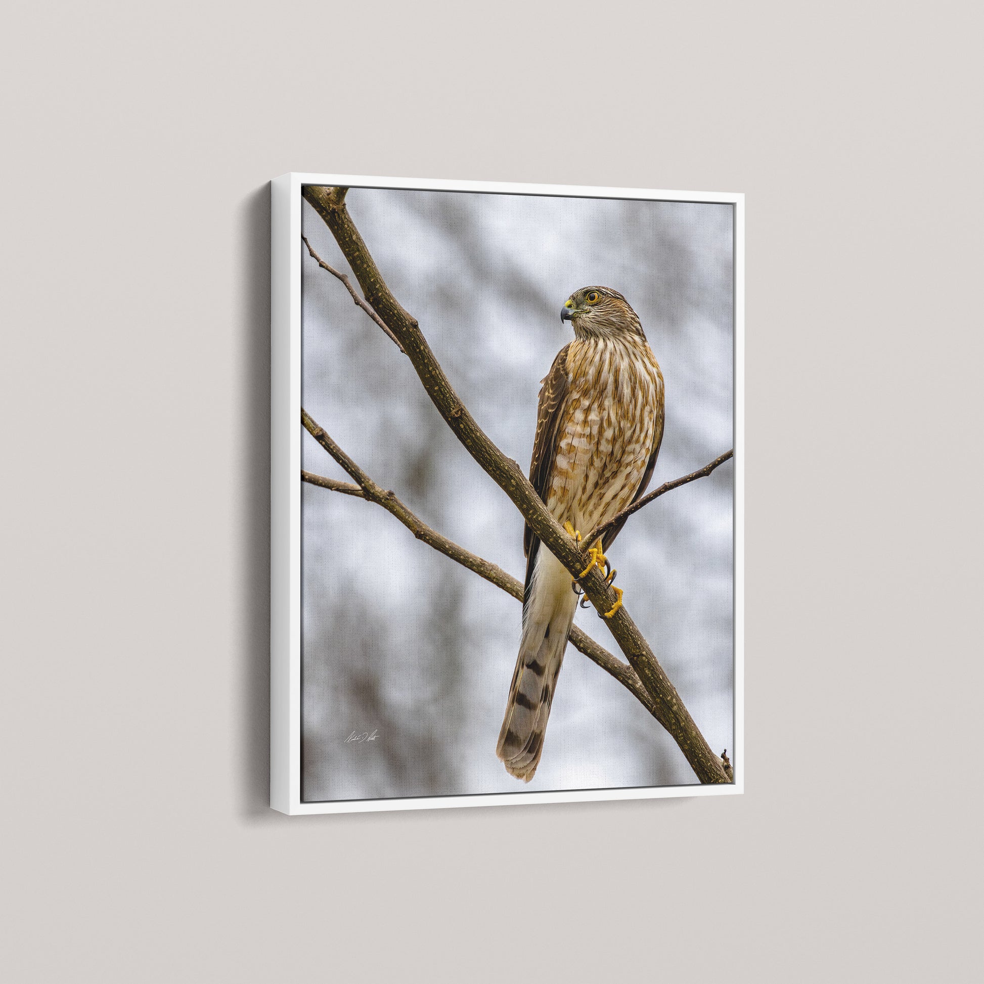 The Half-Second (Open Edition) — White framed canvas mockup