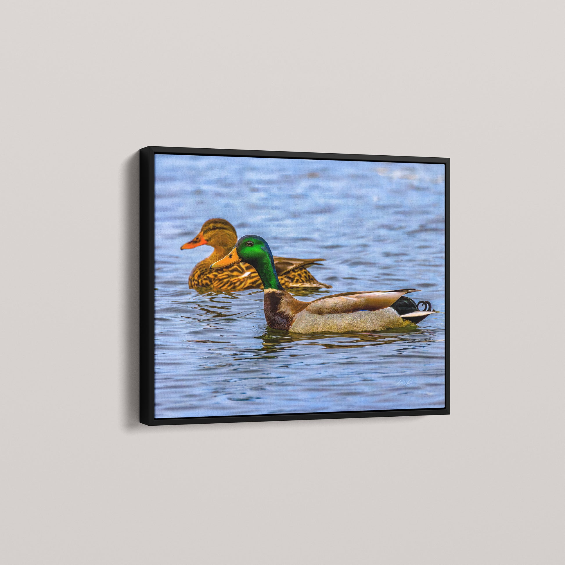 Pair on the Marsh (Open Edition) — Black framed canvas mockup