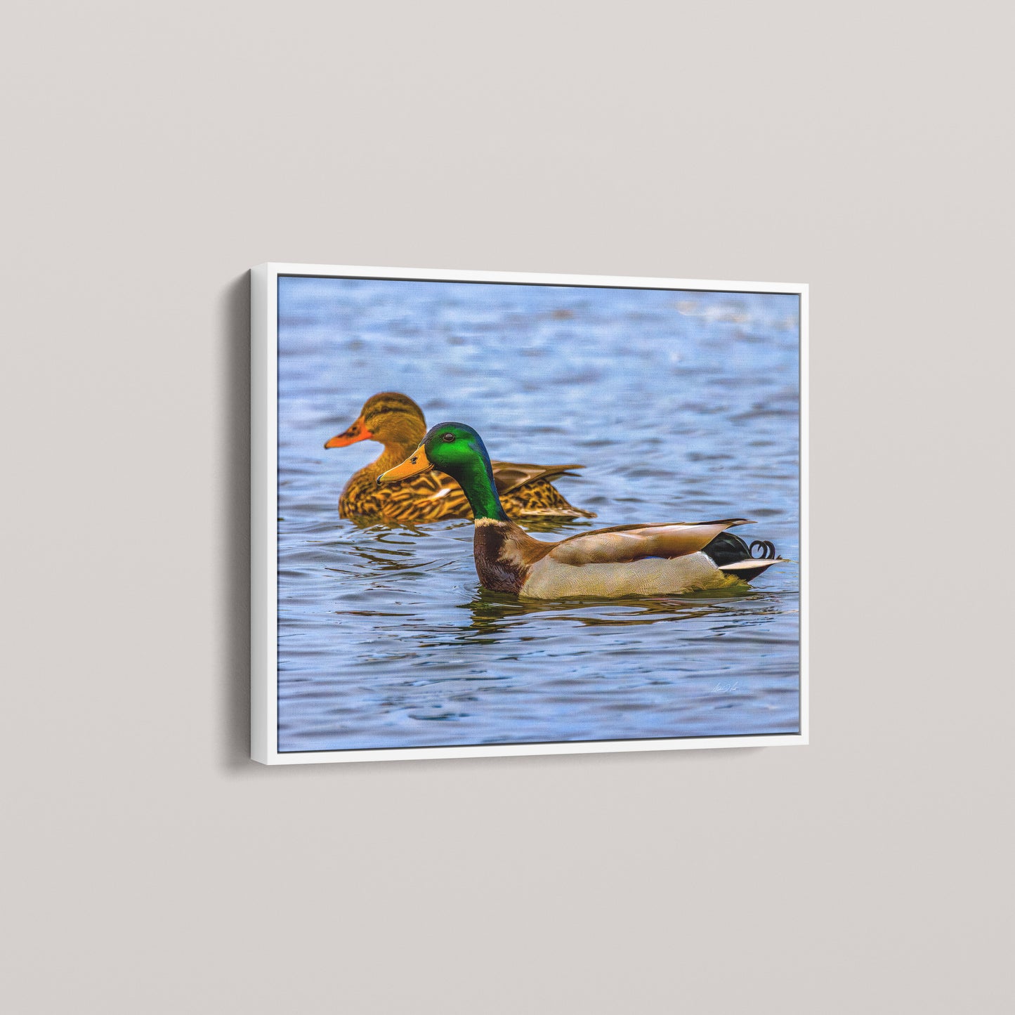 Pair on the Marsh (Open Edition) — White framed canvas mockup