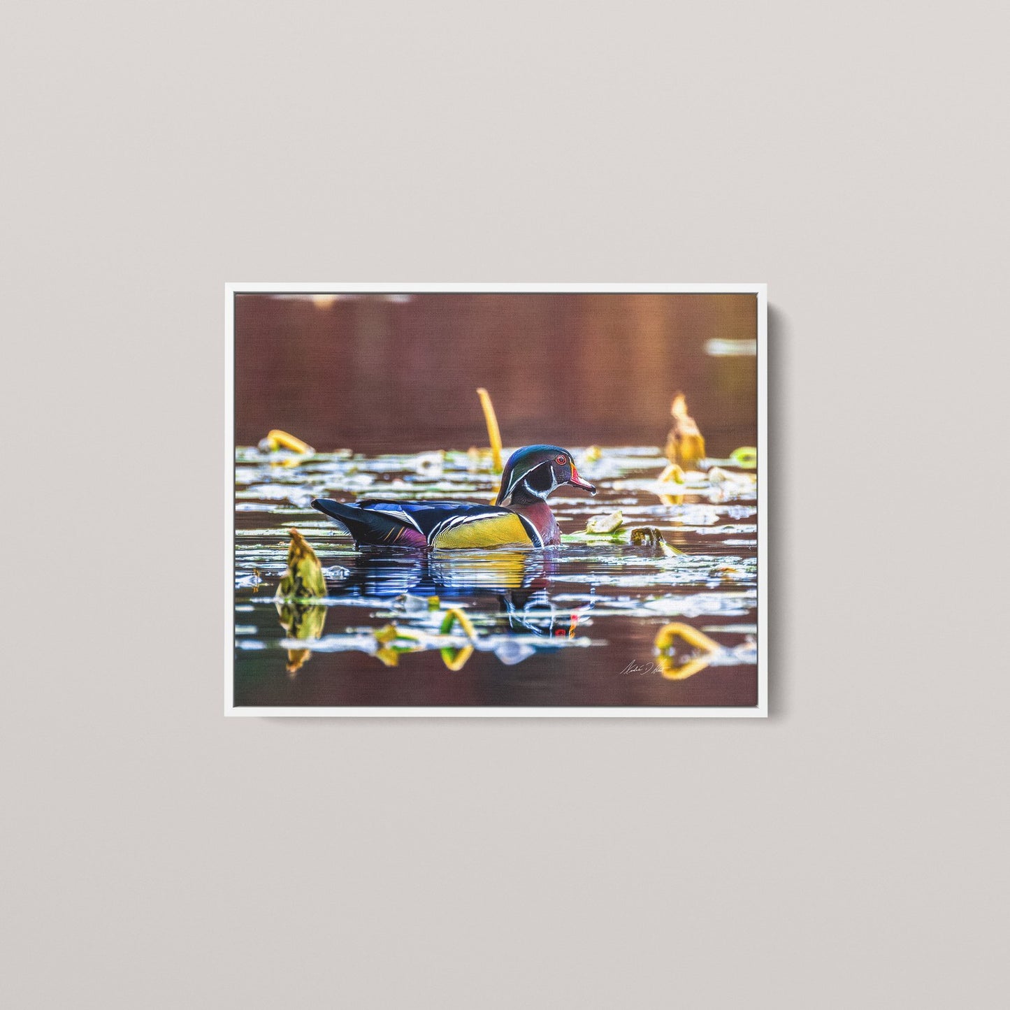 The Painted Drake (Open Edition)