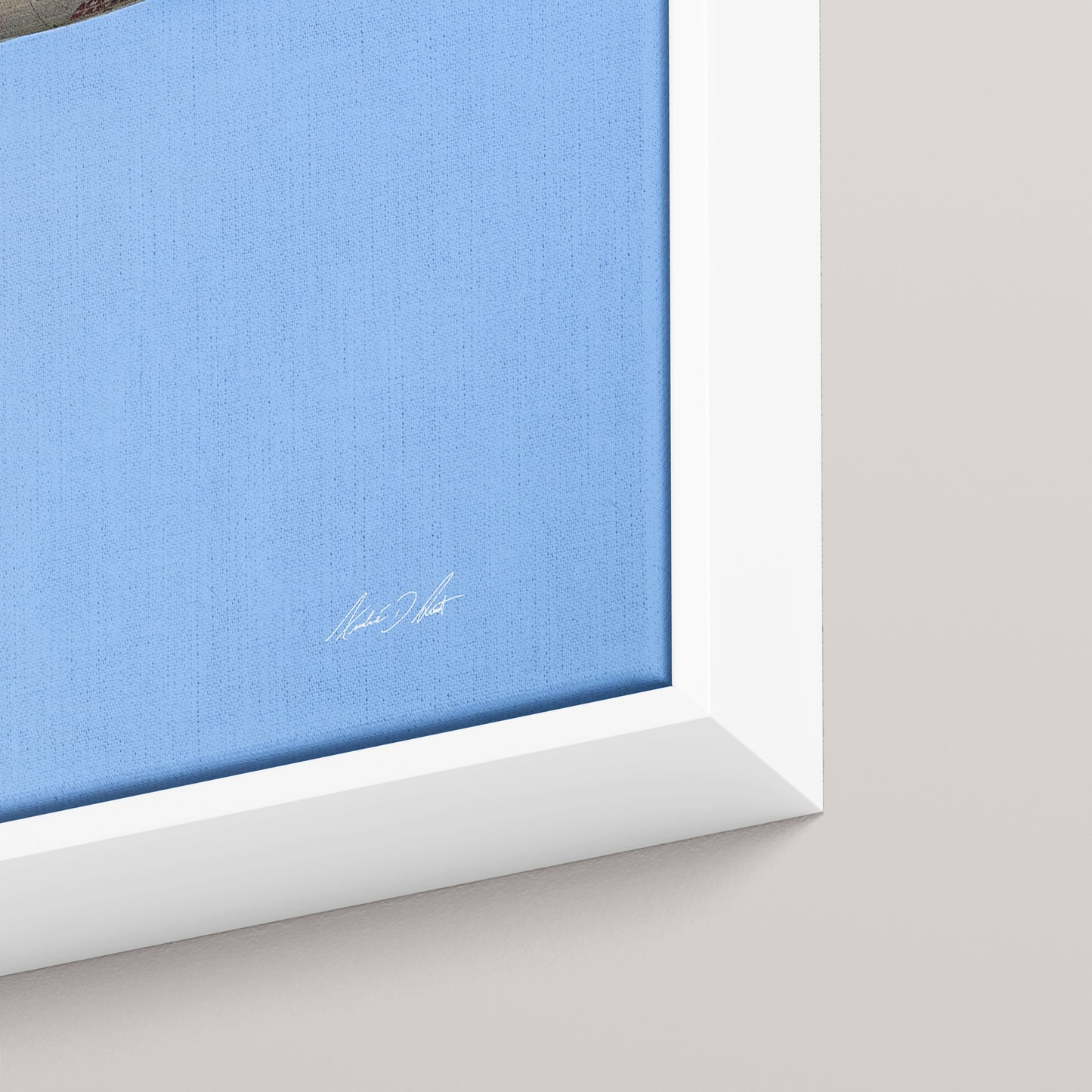 The Shooting Star — closeup3-white view