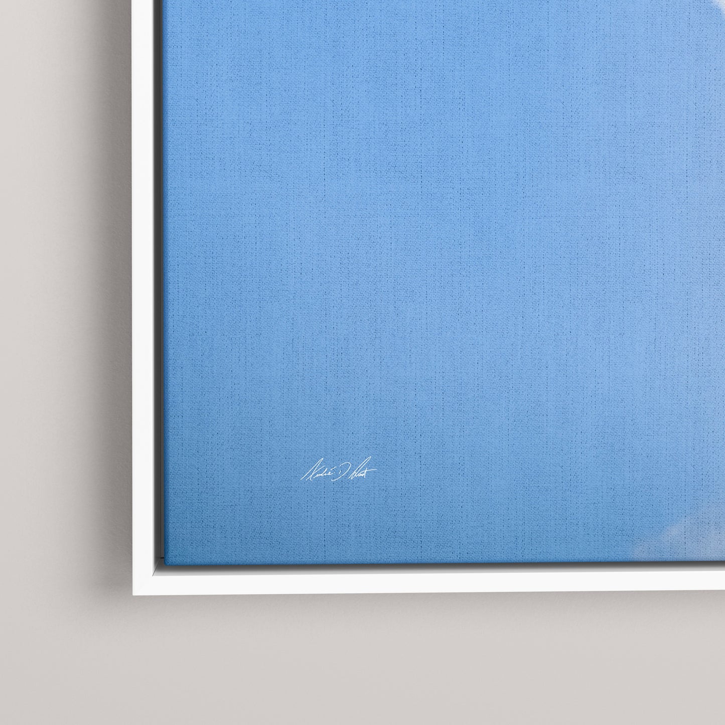 Tricolor Climb — closeup1-white view