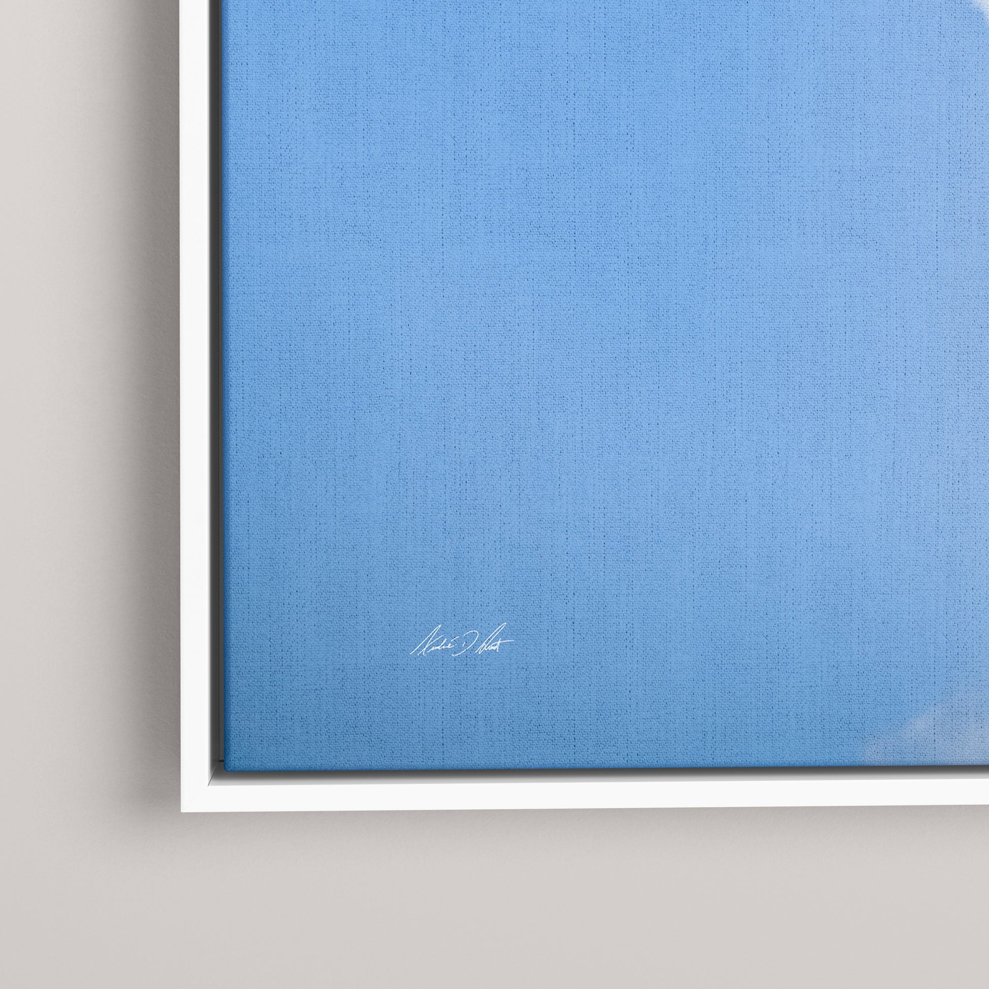 Tricolor Climb — closeup1-white view