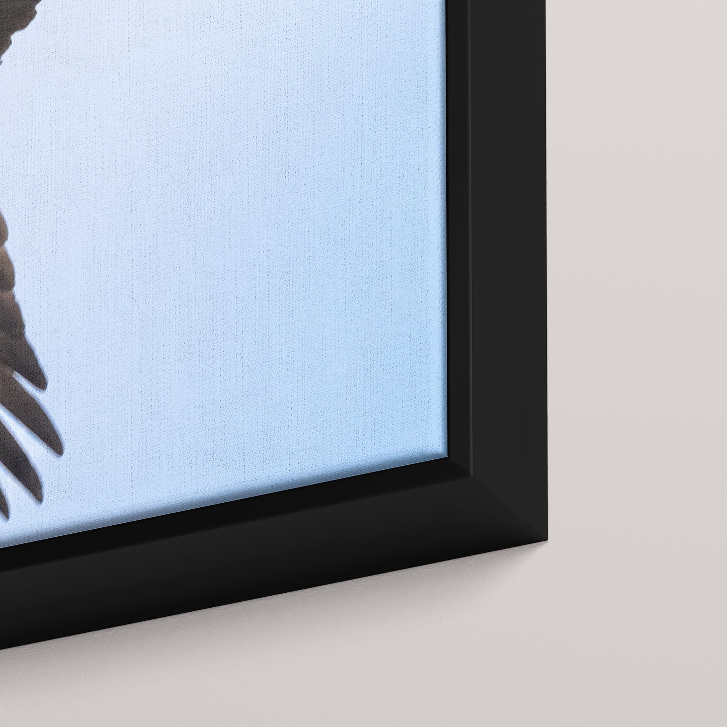 The Osprey's Stare — closeup3-black view