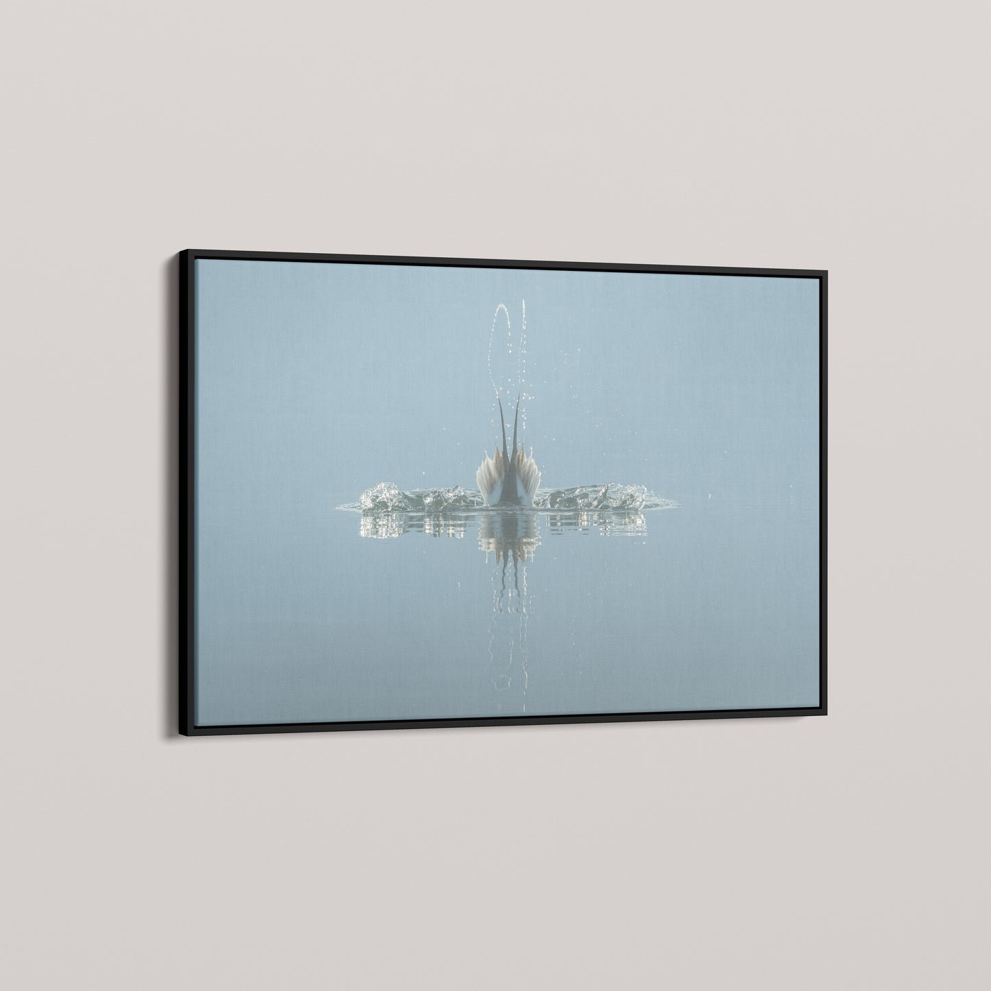 Diving Reflections — angled-black view