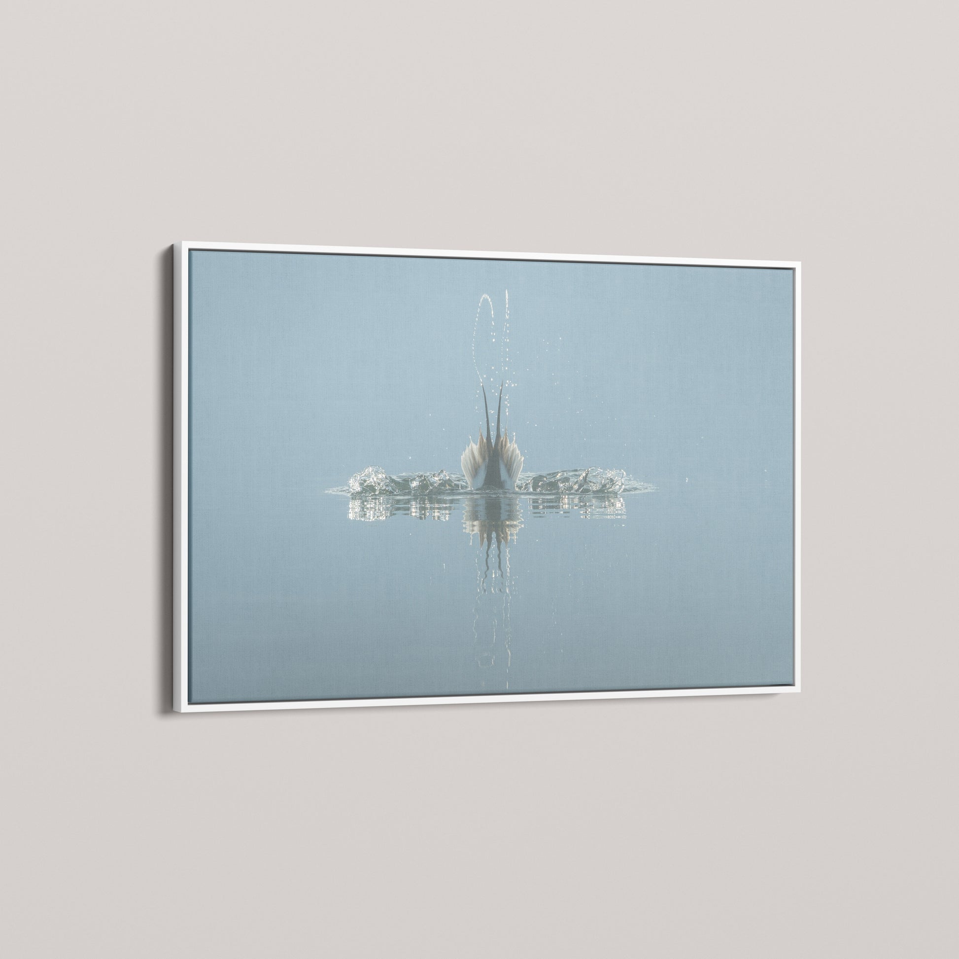 Diving Reflections — angled-white view