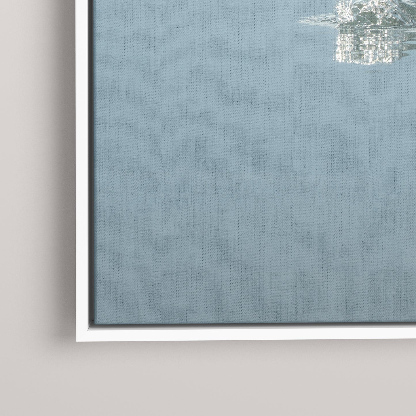 Diving Reflections — closeup1-white view