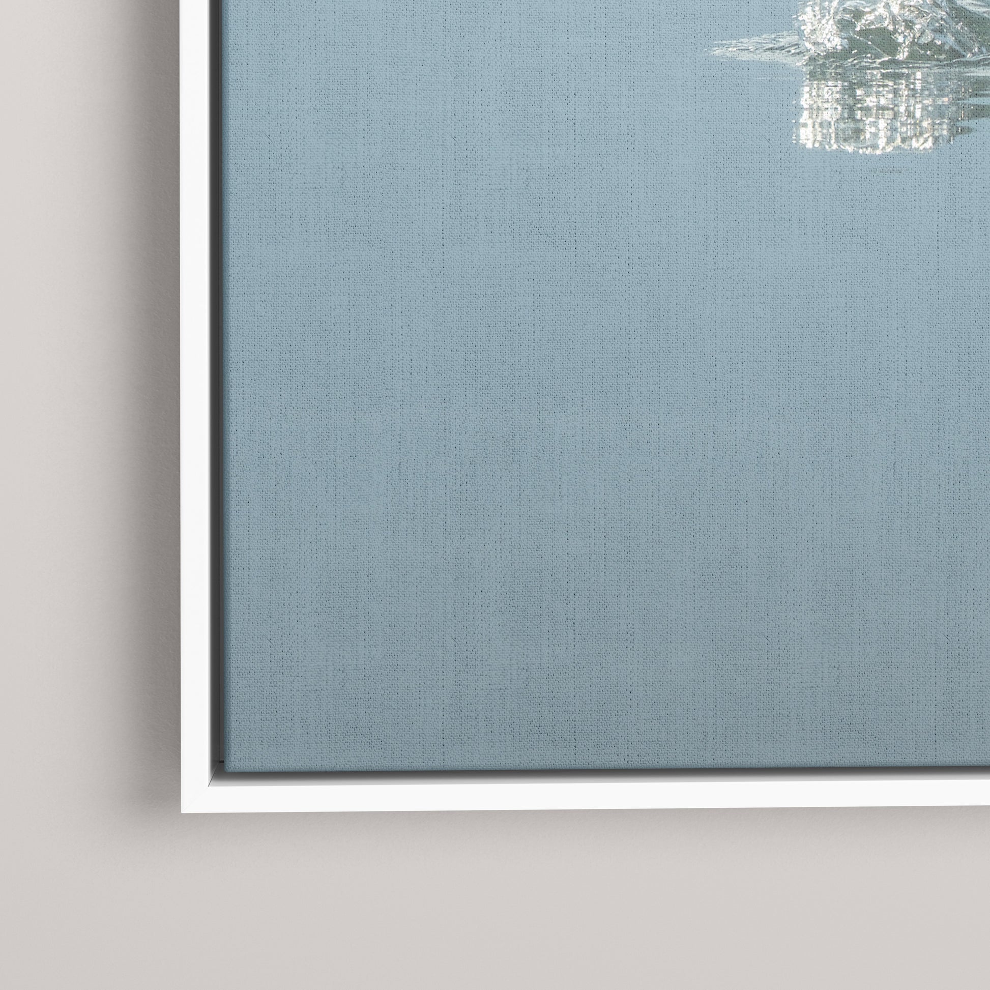 Diving Reflections — closeup1-white view