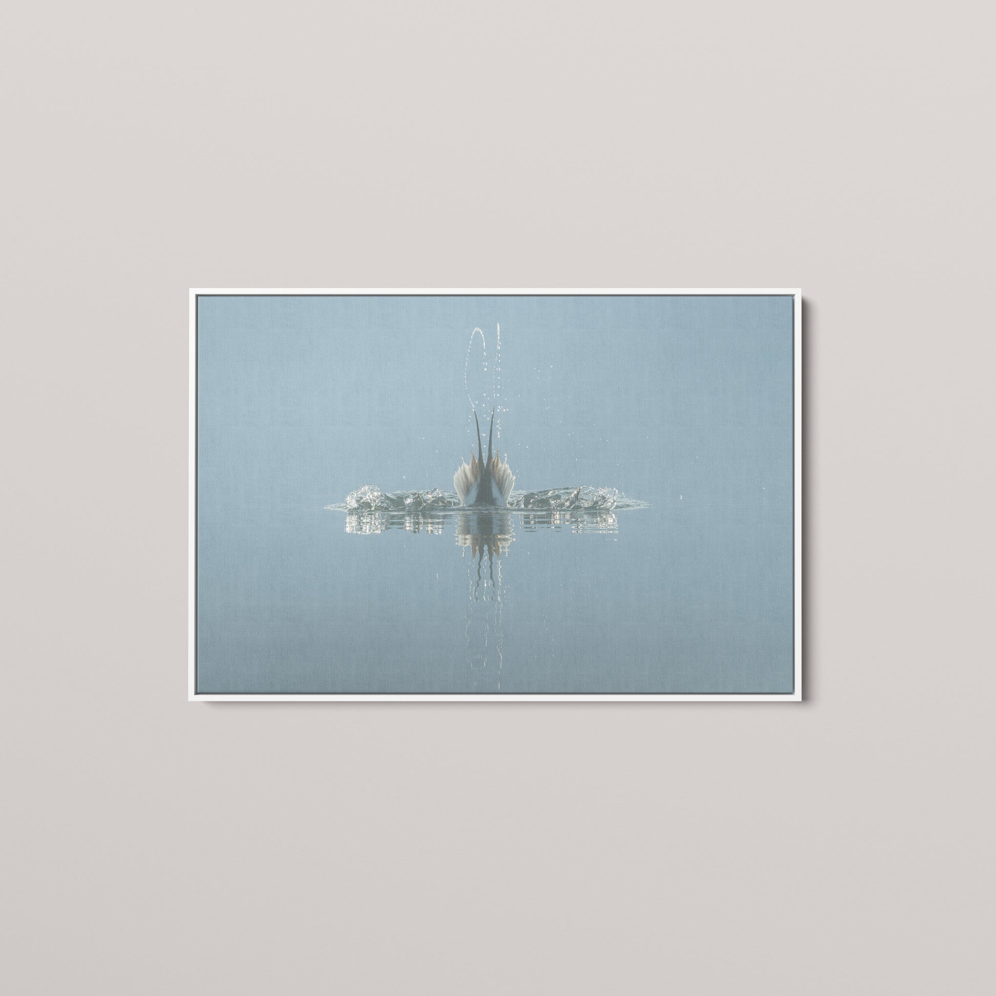 Diving Reflections — White framed canvas mockup